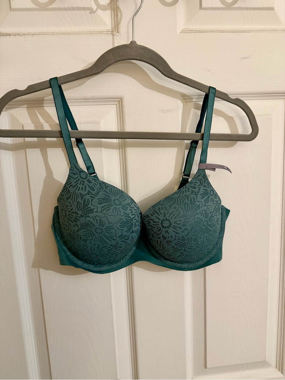 aerie Teal Green Lace Molded Bra
